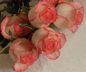 ​女人对老公失望的句子