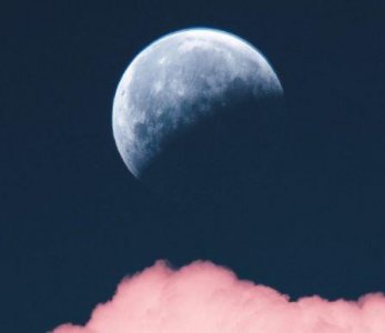 ​婚后对老公越来越失望的句子