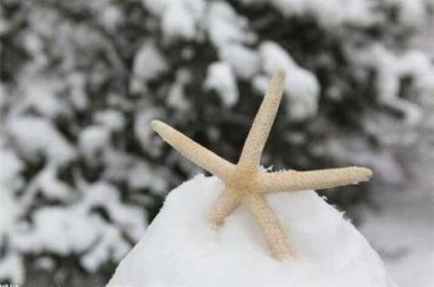 ​写雨优美句子66条