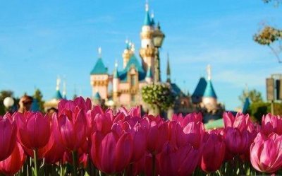 ​人生就像一场旅途的句子精选65句