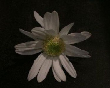 ​关于友情的暖心句子精选(56句)