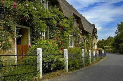 ​没有亲情味的语录 形容没有亲情味儿的句子(精选70句)