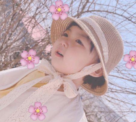 抖音上最火的句子感情浪漫