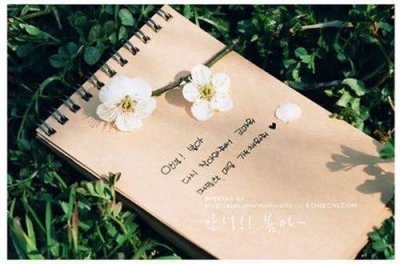 ​好听英文表白句子