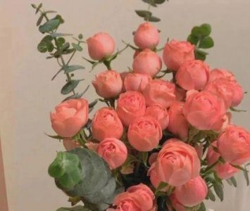 ​人生哲理优秀句子