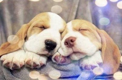 ​有信心有决心有能力的句子(精选31句)