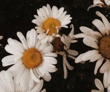 ​描写一路上很开心的句子