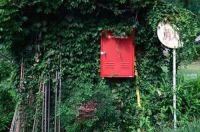 ​低调秀恩爱句子