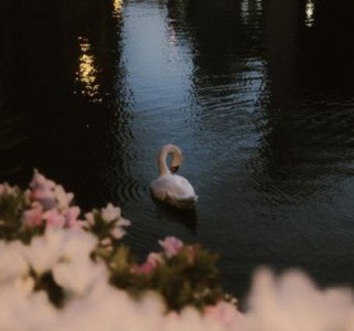 ​一个人深夜的语录大全 深夜伤感的一句话语录