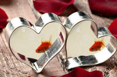 ​对刚去世人的寄语 一路走好天堂安息短句(52句)