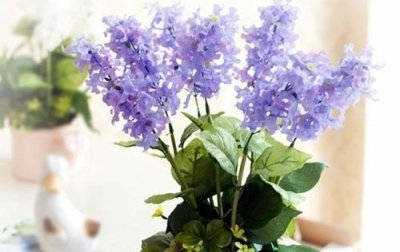 ​最新暗恋一个人的签名