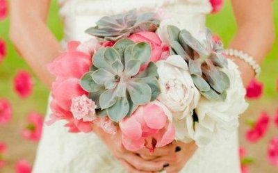 ​关于树排比句15句