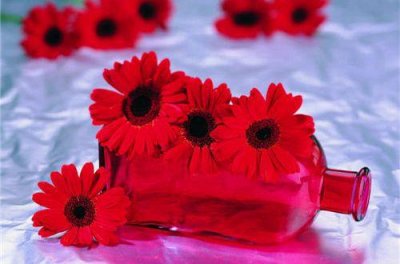 ​书籍是排比句17句