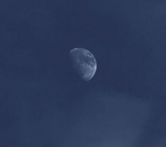 ​爱护环境保护地球的宣传语精选64句