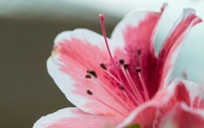 ​教育类排比句14句