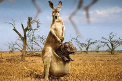 ​霸气拽女生性签名90句