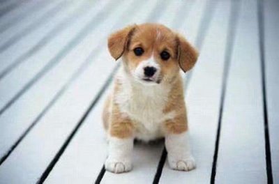 ​关于梦的个性签名 和梦有关的个性签名(90句)