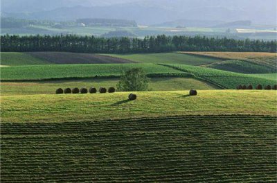 ​情侣配对签名80句