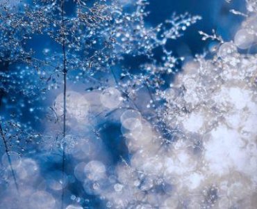 ​关于小三的性签名83句