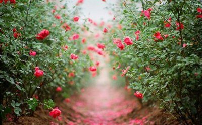 ​qq空间情侣名称大全90句