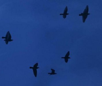 ​2024年qq网名伤感92句