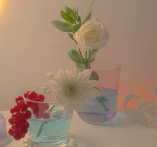 ​学生的人生格言83句