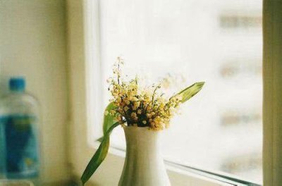 ​艾斯语录17句