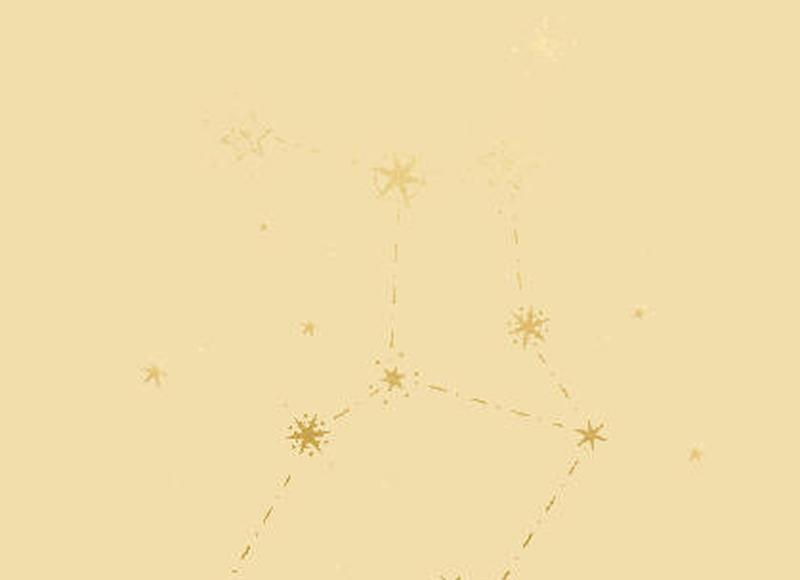 《适合满天星的表白语录》精选15条