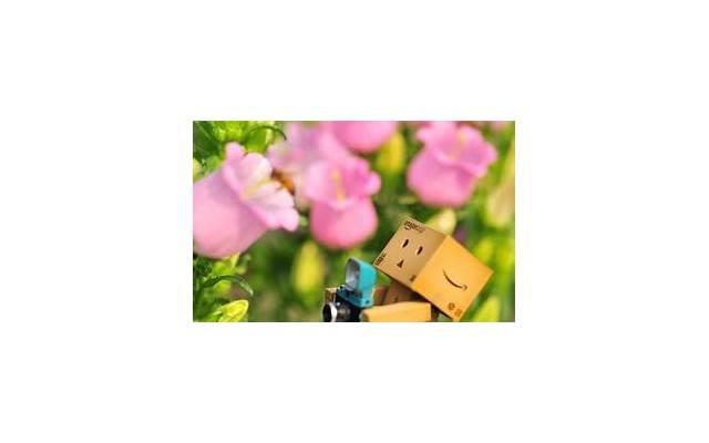 成功励志语录经典一段话(成功的感悟经典语录)
