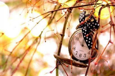 ​保险人的人生格言100句