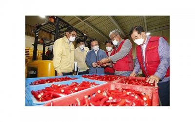 ​对不起套路情话大全（表白情书简短唯美）