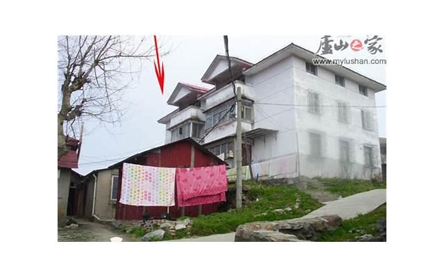 顾飞金句（情话跟玫瑰哪个浪漫一点）