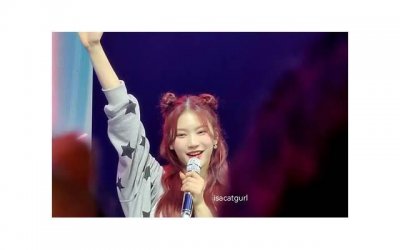 ​最感人情话大全（15条心里的感人情话）