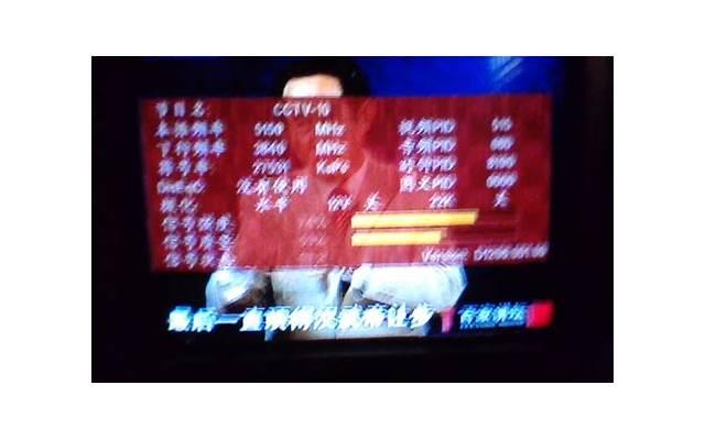 教育孩子的经典语录(教育孩子的语言正能量)