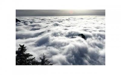 ​任正非语录：让你的爱情和挽回变得简单