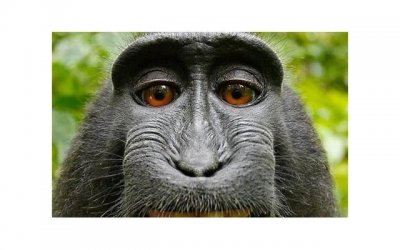 ​爱一个人的句子情话大全长《伱的心〞俄無權訪問提供》