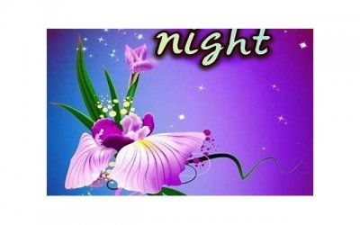 ​套路男生的土味情话