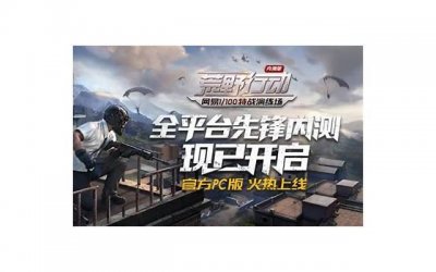 ​给荒野行动cp留言板的情话