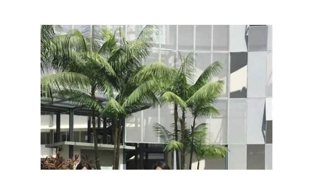 各学科表白情话语录精选 各学科表白情话语录