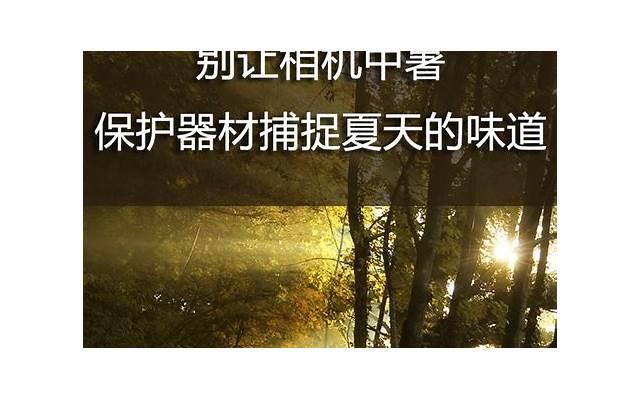土味情话哪里的草莓最好吃