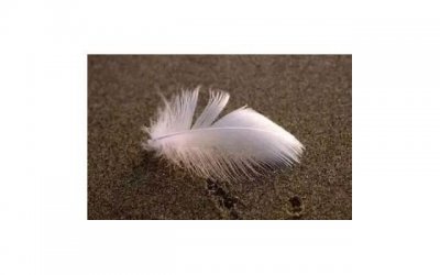 ​土味情话2025套路一问一答(撩人甜到爆的句子)