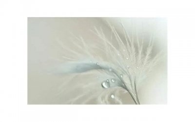 ​最新的土味情话撩女生