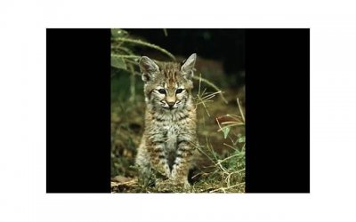 ​同城聊天约会话题 让约会顺利进行的话题