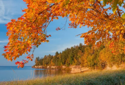 ​男生网名带什么学长的意思