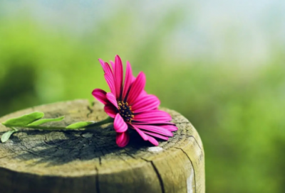 ​网名前带什么英语符号的