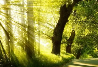 ​喜庆的网名带么余生的