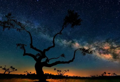 ​我梦中的你的句子(热门80句)