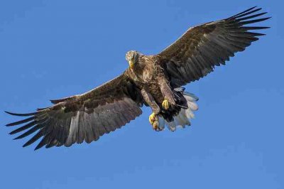 ​事业经典句子109句