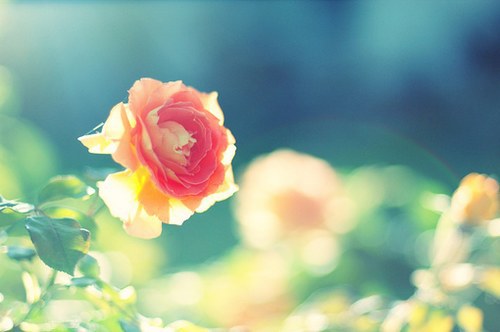 台湾经典语录146句