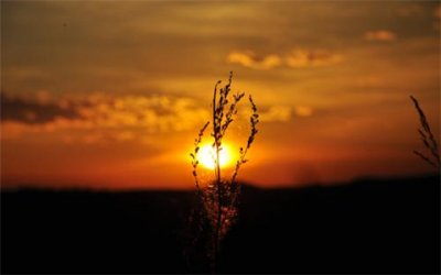 ​形容草原美景意境的句子